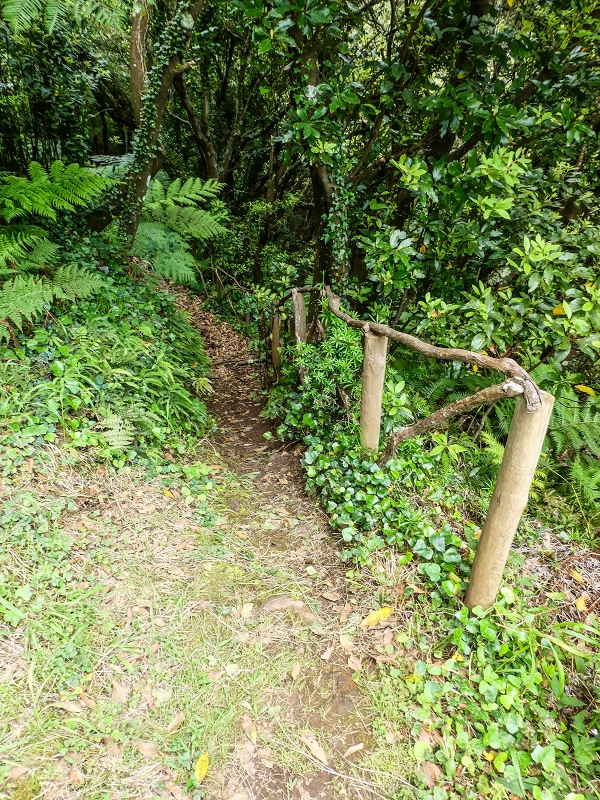 06.05.2019 Über den Pico da Coroa und die Boca do Risco — Auf dem Estrada Florestal da Serra das Funduras zu dessen Ende und zum Aussichtspunkt über Ribeira Seca — Foto 7