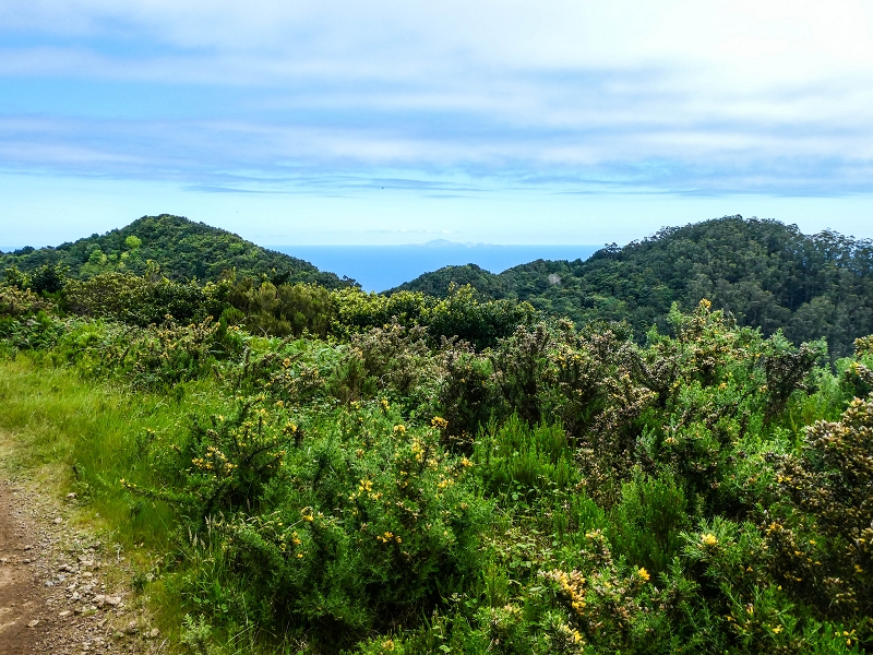 06.05.2019 Über den Pico da Coroa und die Boca do Risco — Auf dem Estrada Florestal da Serra das Funduras zu dessen Ende und zum Aussichtspunkt über Ribeira Seca — Foto 13