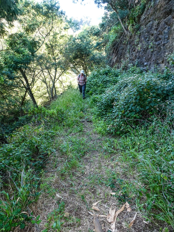 06.05.2019 Über den Pico da Coroa und die Boca do Risco — Von Maiata über Mostardal zur Levada da Fajazinha und zum Reservoir — Foto 9