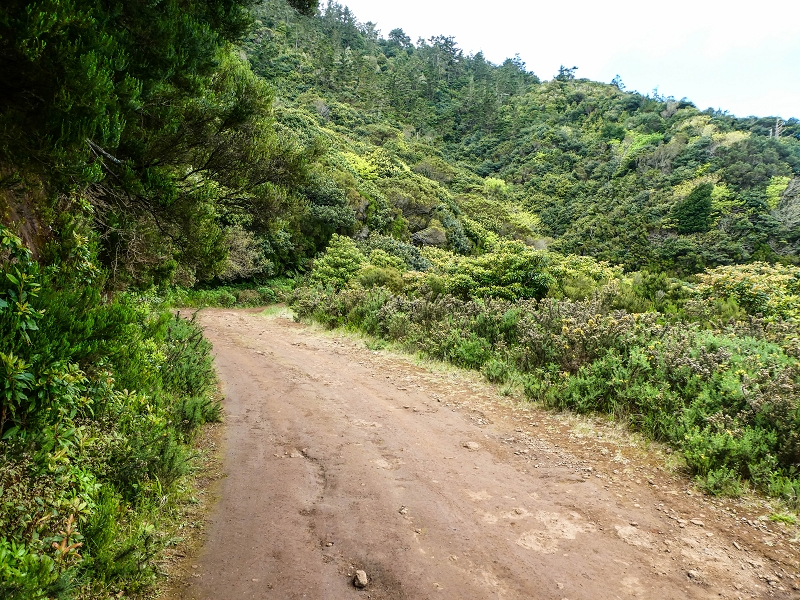 06.05.2019 Über den Pico da Coroa und die Boca do Risco — Auf dem Estrada Florestal da Serra das Funduras zu dessen Ende und zum Aussichtspunkt über Ribeira Seca — Foto 15