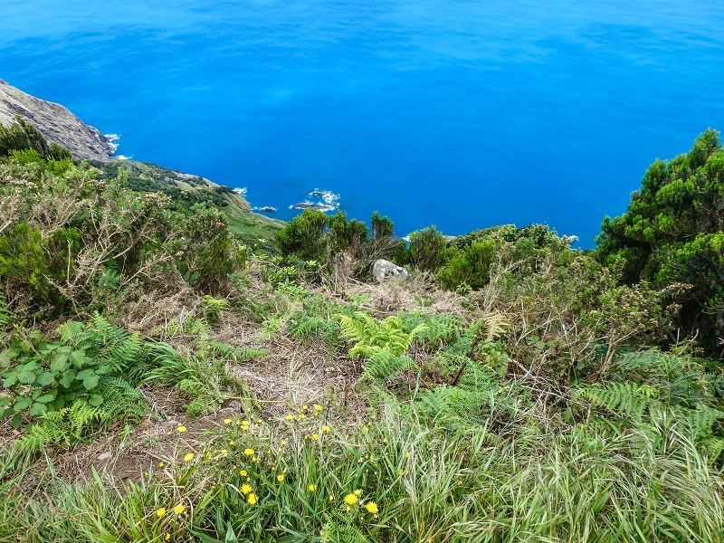 06.05.2019 Über den Pico da Coroa und die Boca do Risco — Auf dem Estrada Florestal da Serra das Funduras zu dessen Ende und zum Aussichtspunkt über Ribeira Seca — Foto 17