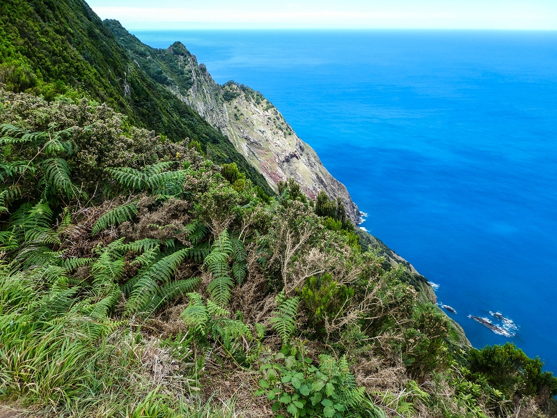 06.05.2019 Über den Pico da Coroa und die Boca do Risco — Auf dem Estrada Florestal da Serra das Funduras zu dessen Ende und zum Aussichtspunkt über Ribeira Seca — Foto 18