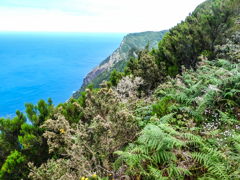 06.05.2019 Über den Pico da Coroa und die Boca do Risco — Auf dem Estrada Florestal da Serra das Funduras zu dessen Ende und zum Aussichtspunkt über Ribeira Seca — Foto 19