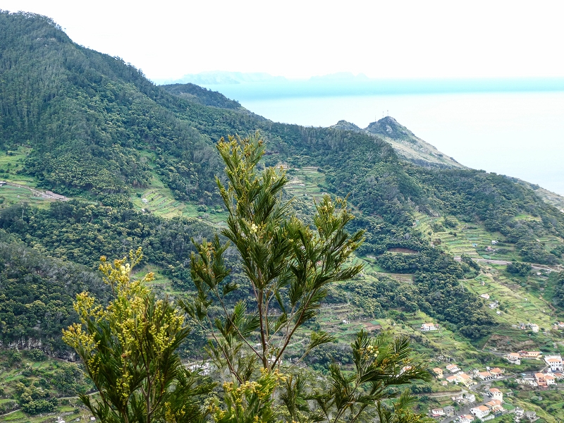 06.05.2019 Über den Pico da Coroa und die Boca do Risco — Auf dem Estrada Florestal da Serra das Funduras zu dessen Ende und zum Aussichtspunkt über Ribeira Seca — Foto 21