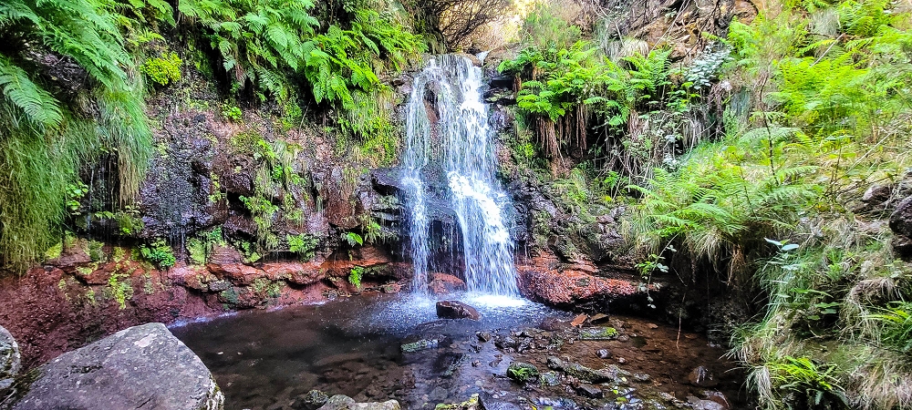 6 de junho de 2024 Loops do Rabaçal como belíssimo arranque — Do ponto de partida à Ribeira Grande e à cascata — foto 10