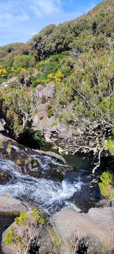 6 de junho de 2024 Loops do Rabaçal como belíssimo arranque — Pela Ribeira Grande até ao Pico Fernandes e à travessia da Ribeira da Agua Negra — foto 1