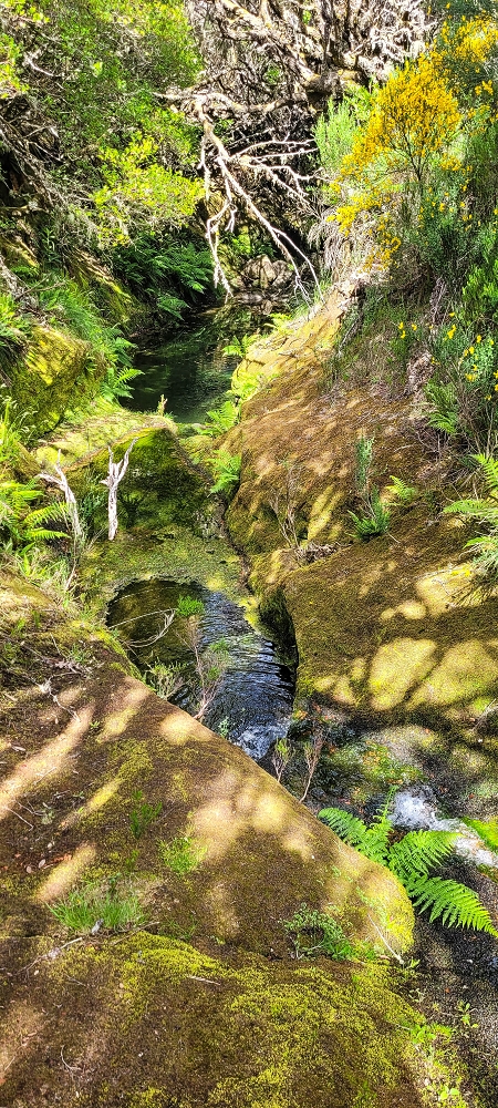6 de junho de 2024 Loops do Rabaçal como belíssimo arranque — Pela Ribeira Grande até ao Pico Fernandes e à travessia da Ribeira da Agua Negra — foto 5