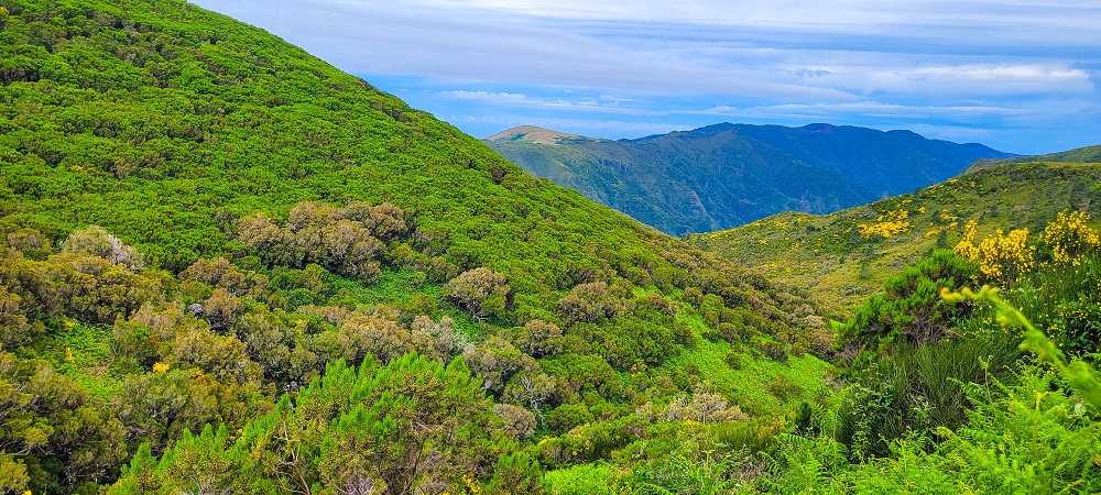 6 de junho de 2024 Loops do Rabaçal como belíssimo arranque — Ribeira da Agua Negra und die  der Levada da Senhora — foto 6