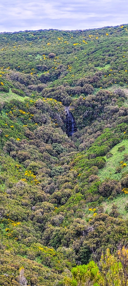 6 de junho de 2024 Loops do Rabaçal como belíssimo arranque — Por fetos e urze-molar até ao PR13 — foto 6