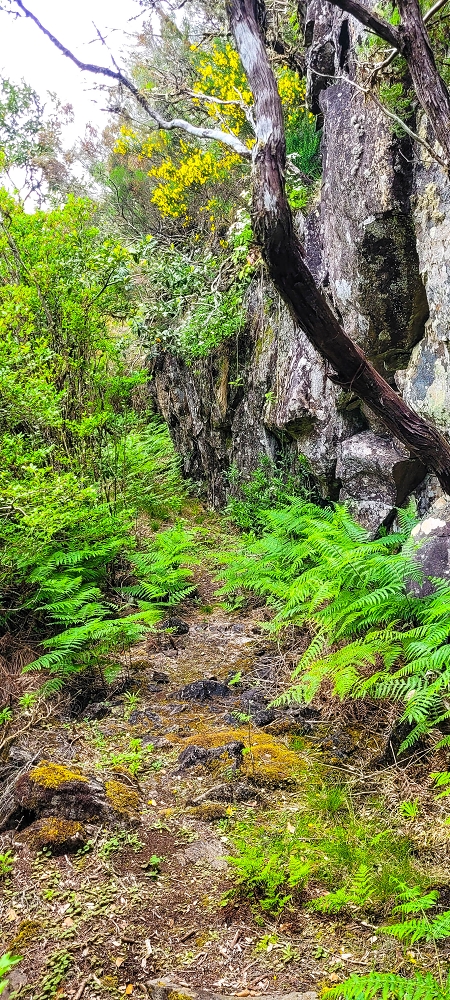 6 de junho de 2024 Loops do Rabaçal como belíssimo arranque — O belo caminho fundo — foto 1