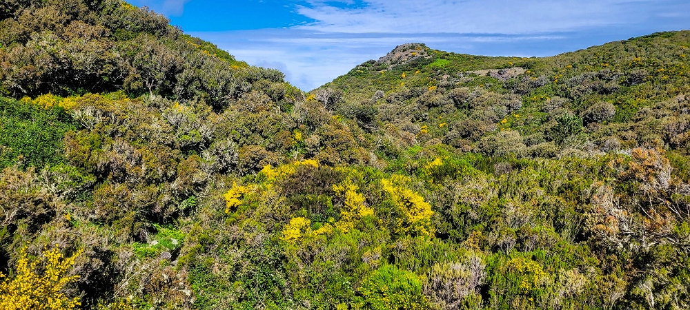 6 de junho de 2024 Loops do Rabaçal como belíssimo arranque — Do ponto de partida à Ribeira Grande e à cascata — foto 4