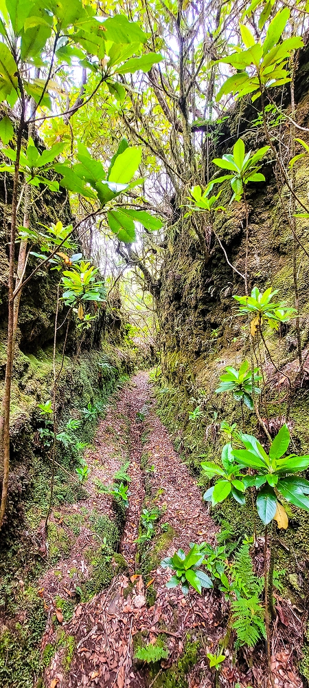 6 de junho de 2024 Loops do Rabaçal como belíssimo arranque — O belo caminho fundo — foto 6