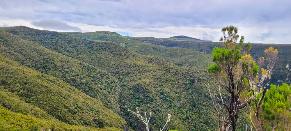 6 de junho de 2024 Loops do Rabaçal como belíssimo arranque — De volta ao ponto de partida pelo místico PR13 — foto 2