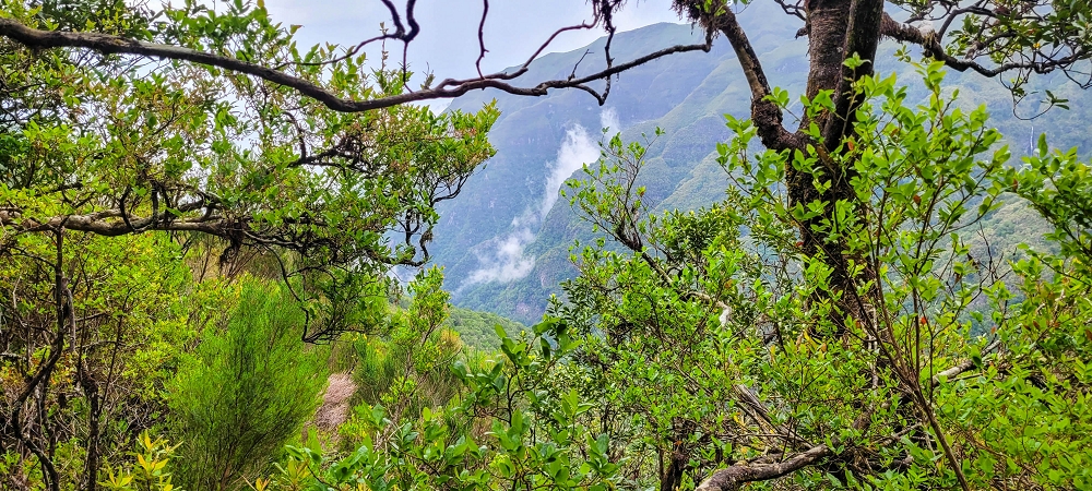6 de junho de 2024 Loops do Rabaçal como belíssimo arranque — De volta ao ponto de partida pelo místico PR13 — foto 3