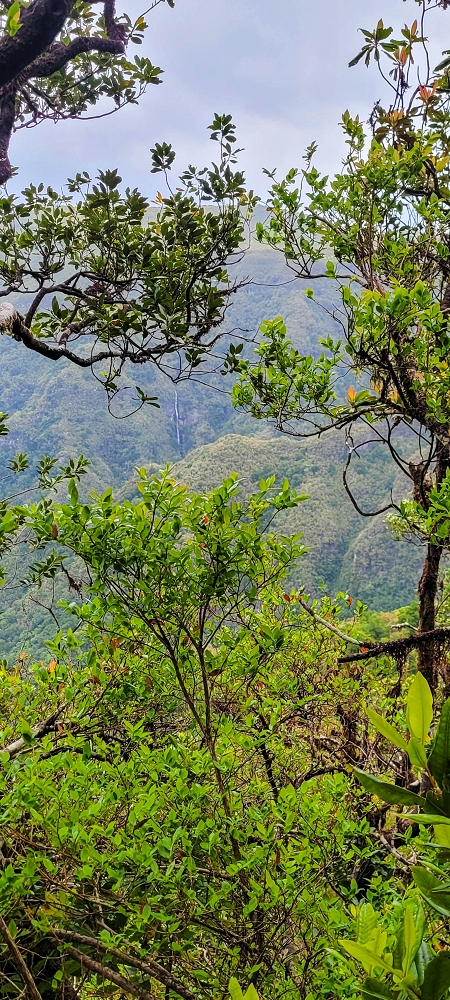 6 de junho de 2024 Loops do Rabaçal como belíssimo arranque — De volta ao ponto de partida pelo místico PR13 — foto 4