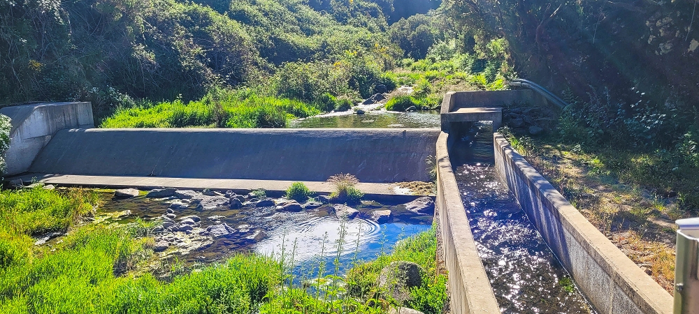 6 de junho de 2024 Loops do Rabaçal como belíssimo arranque — Do ponto de partida à Ribeira Grande e à cascata — foto 5