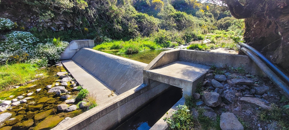 6 de junho de 2024 Loops do Rabaçal como belíssimo arranque — Do ponto de partida à Ribeira Grande e à cascata — foto 6