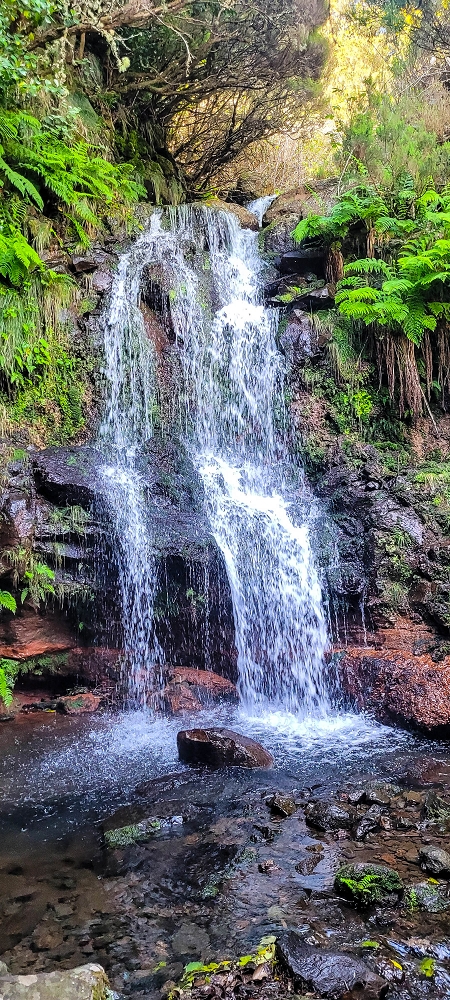 6 de junho de 2024 Loops do Rabaçal como belíssimo arranque — Do ponto de partida à Ribeira Grande e à cascata — foto 8