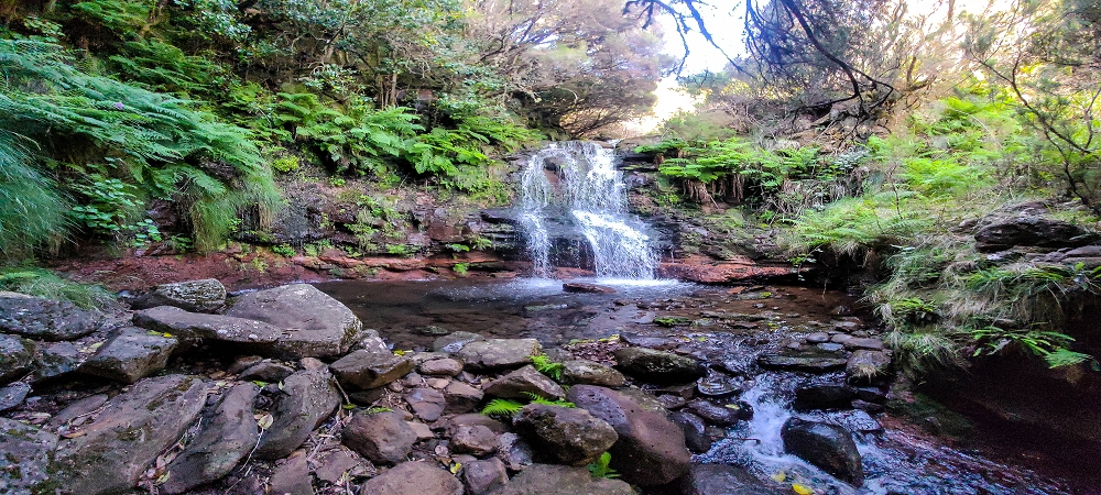 6 de junho de 2024 Loops do Rabaçal como belíssimo arranque — Do ponto de partida à Ribeira Grande e à cascata — foto 9