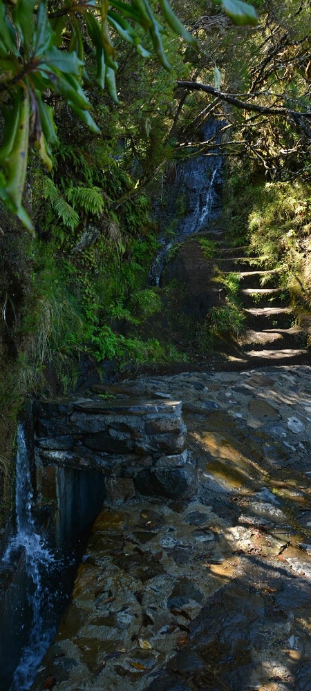 Levada da Serra (da Bica da Cana) — Die 3 Madres — Foto 4