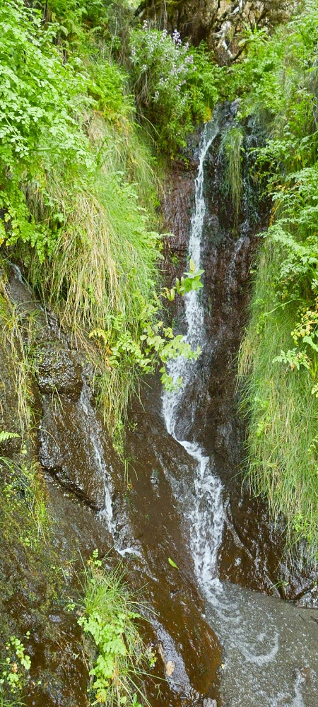 Levada da Serra (da Bica da Cana) — Die 3 Madres — Foto 2