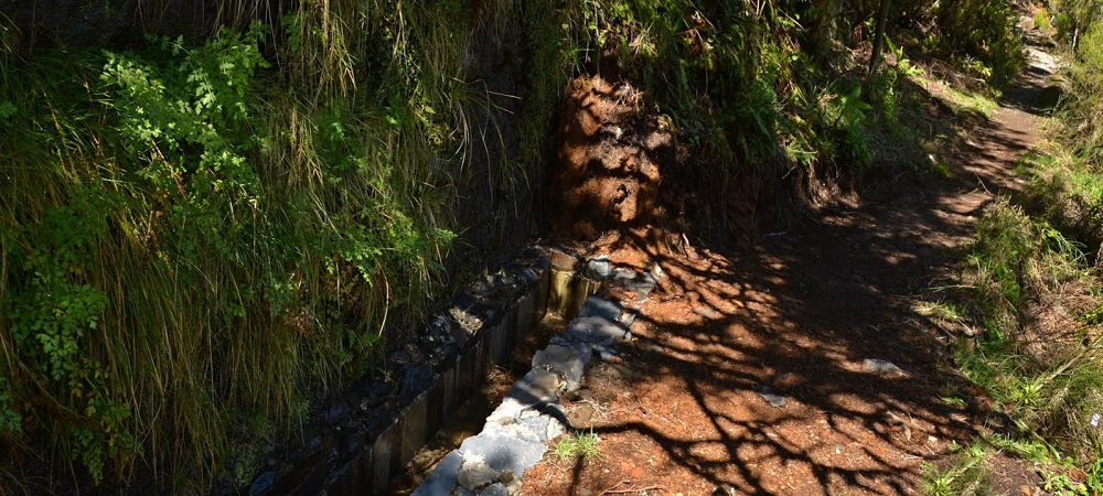 Levada da Serra (da Bica da Cana) — Die 3 Madres — Foto 1
