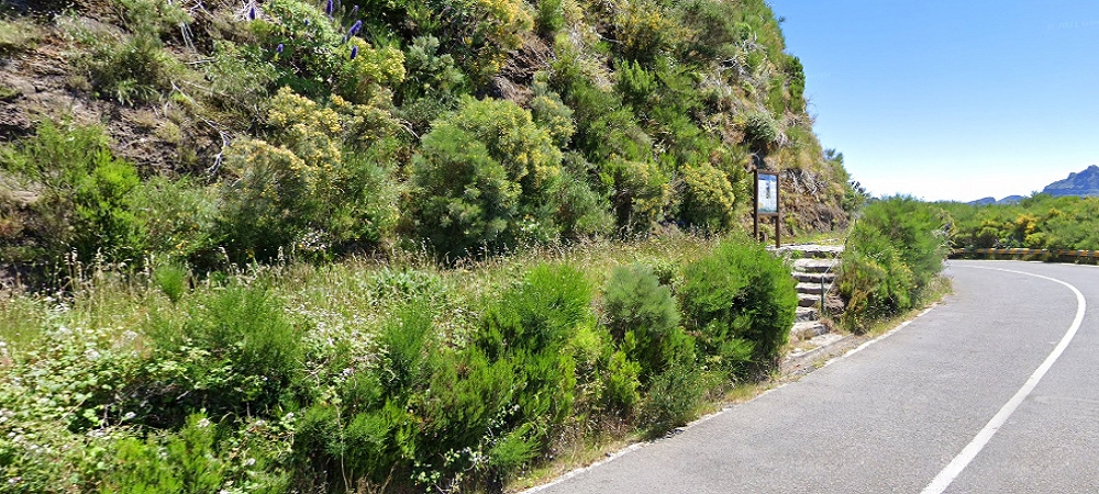 Levada da Serra (da Bica da Cana) — Kreuzung mit der ER110 — Foto 2