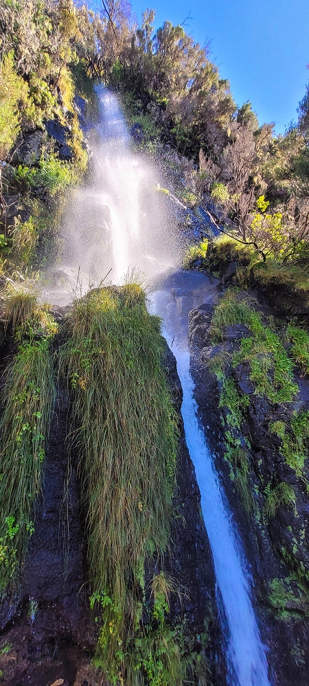 Levada da Serra (da Bica da Cana) — Vom Wasserfall zur ER110 — Foto 1