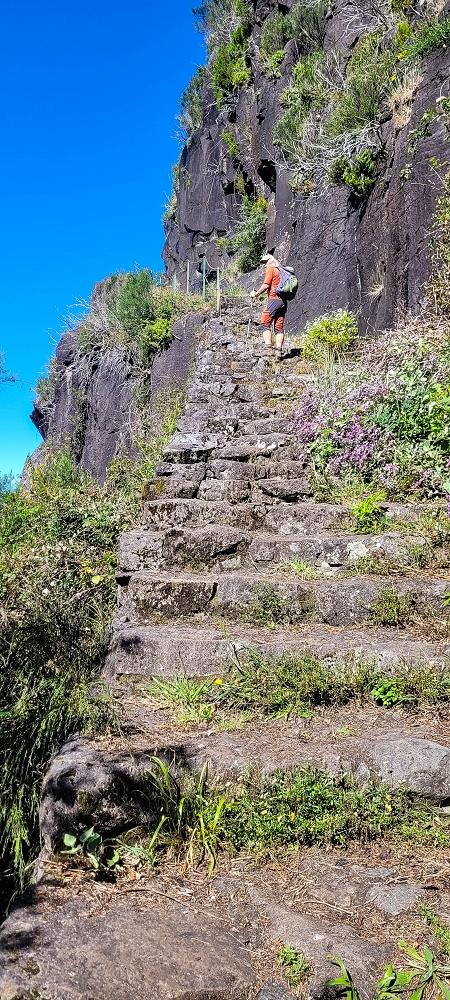 Levada da Serra (da Bica da Cana) — Vom Pinaculo zu den Wasserfällen — Foto 14