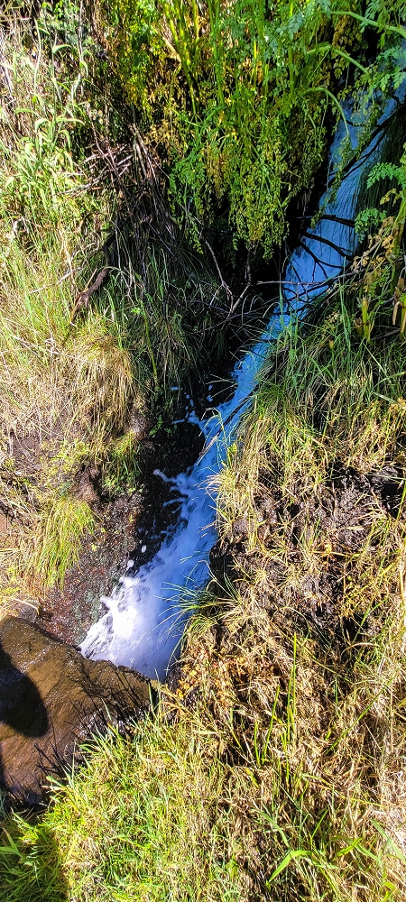 Levada da Serra (da Bica da Cana) — Vom Pinaculo zu den Wasserfällen — Foto 13
