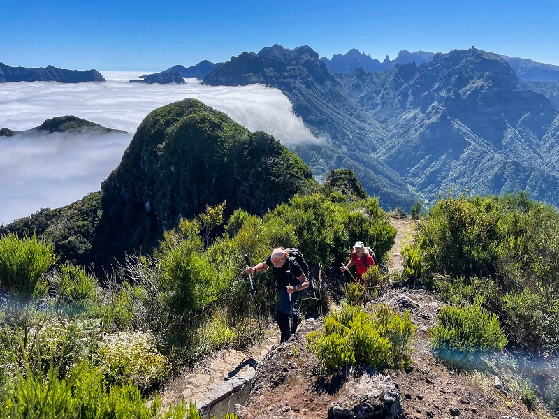 Levada da Serra (da Bica da Cana) — Vom Pinaculo zu den Wasserfällen — Foto 11