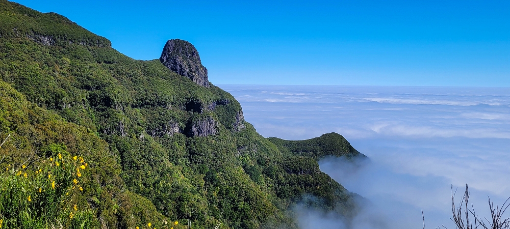 Levada da Serra (da Bica da Cana) — Vom Pinaculo zu den Wasserfällen — Foto 9