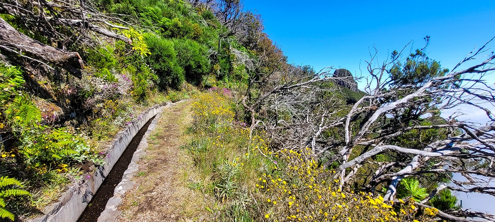 Levada da Serra (da Bica da Cana) — Vom Pinaculo zu den Wasserfällen — Foto 8