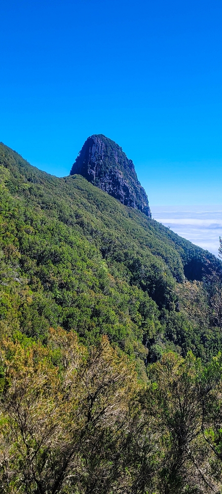 Levada da Serra (da Bica da Cana) — Vom Pinaculo zu den Wasserfällen — Foto 4