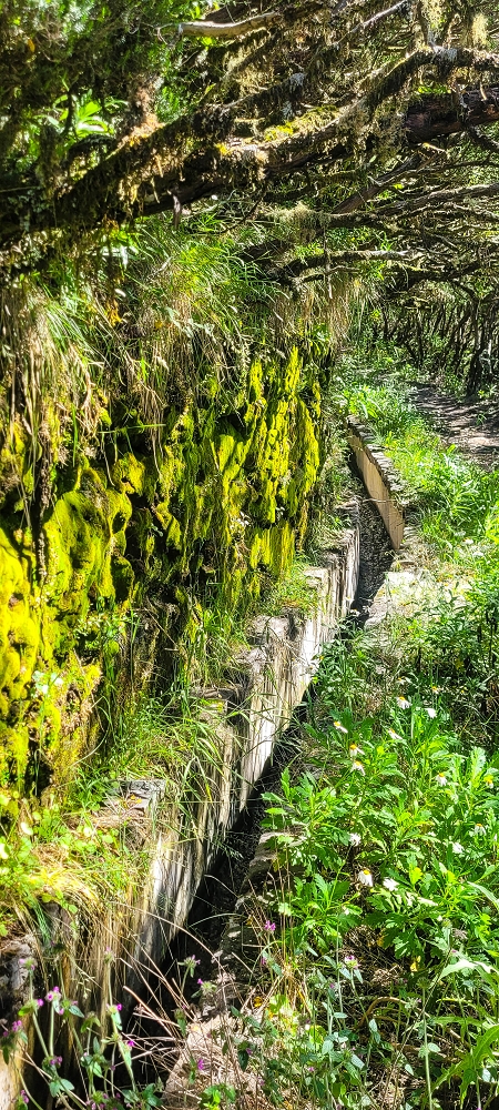 Levada da Serra (da Bica da Cana) — Vom Pinaculo zu den Wasserfällen — Foto 3