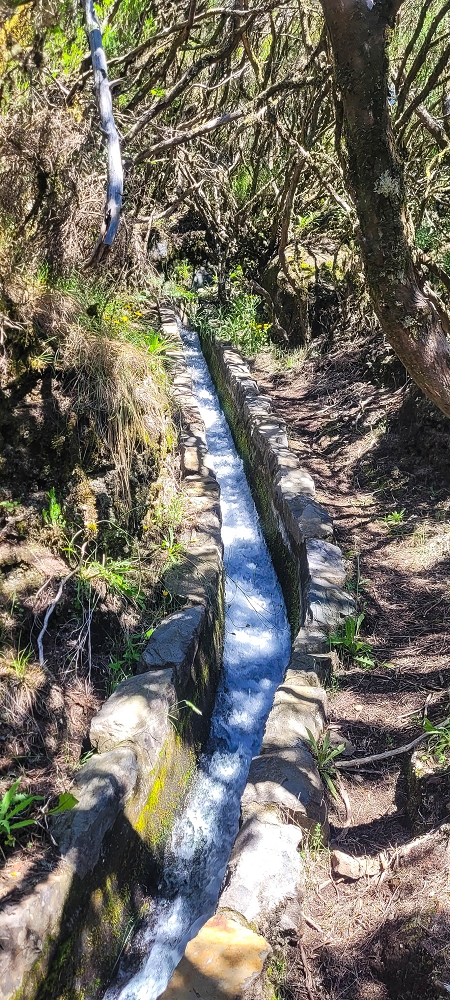 Levada da Serra (da Bica da Cana) — Vom Pinaculo zu den Wasserfällen — Foto 2