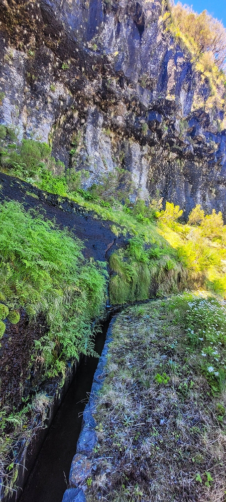 Levada da Serra (da Bica da Cana) — Zum Pinaculo — Foto 1