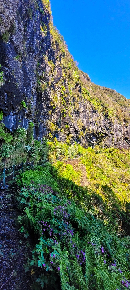 Levada da Serra (da Bica da Cana) — Zum Pinaculo — Foto 3