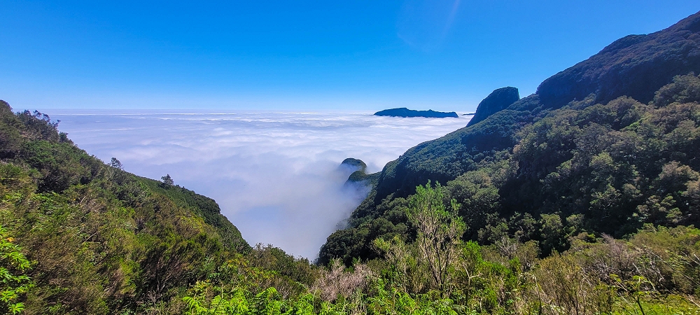 Levada da Serra (da Bica da Cana) — Zum Pinaculo — Foto 5