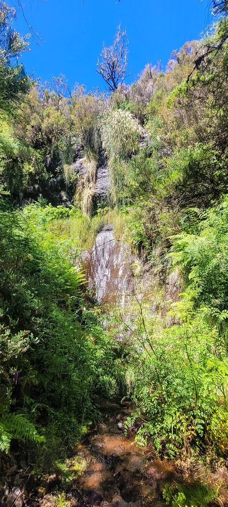 Levada da Serra (da Bica da Cana) — Richtung Wasserfall — Foto 1