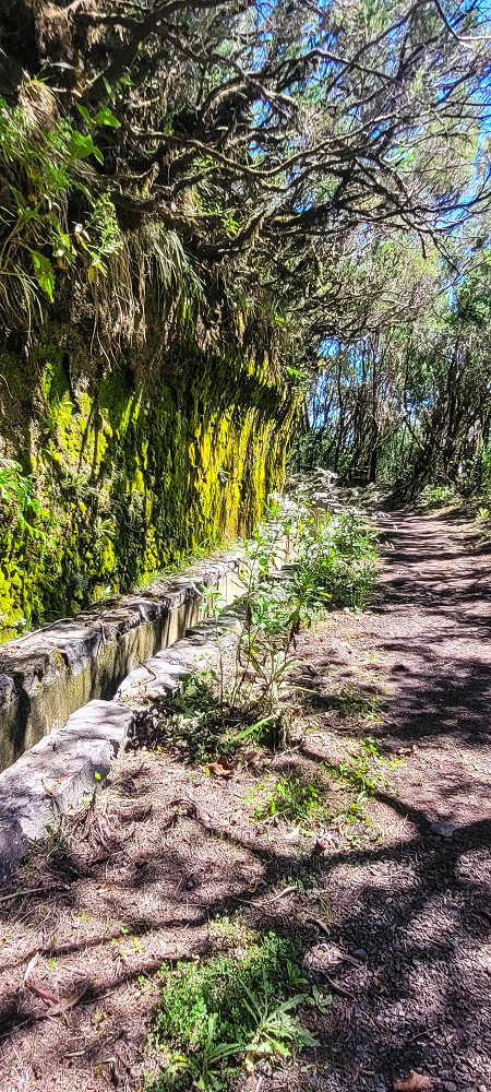 Levada da Serra (da Bica da Cana) — Richtung Wasserfall — Foto 3