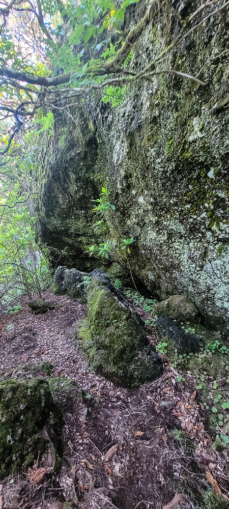06.07.2022 Wunderschöne Abschlussrunde, möglicherweise meine letzte Madeirawanderung? — Abstieg zum Caramujo-Haus — Foto 1
