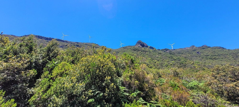 06.07.2022 Wunderschöne Abschlussrunde, möglicherweise meine letzte Madeirawanderung? — Lagoa do Caramujo — Foto 2