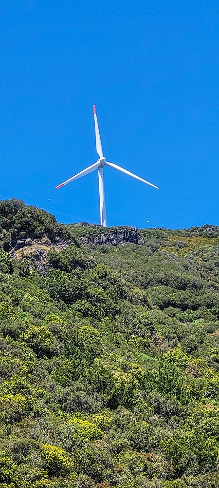 06.07.2022 Wunderschöne Abschlussrunde, möglicherweise meine letzte Madeirawanderung? — Lagoa do Caramujo — Foto 3