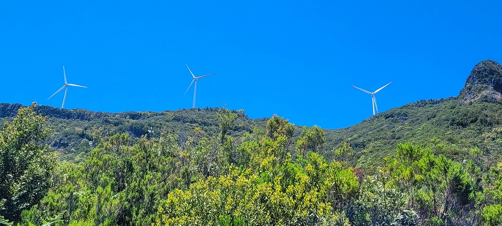 06.07.2022 Wunderschöne Abschlussrunde, möglicherweise meine letzte Madeirawanderung? — Lagoa do Caramujo — Foto 4