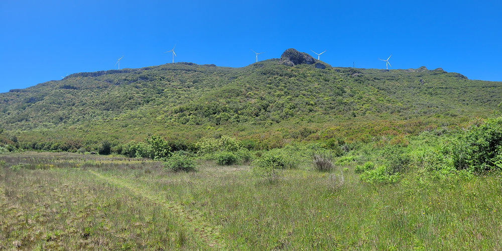 06.07.2022 Wunderschöne Abschlussrunde, möglicherweise meine letzte Madeirawanderung? — Lagoa do Caramujo — Foto 5