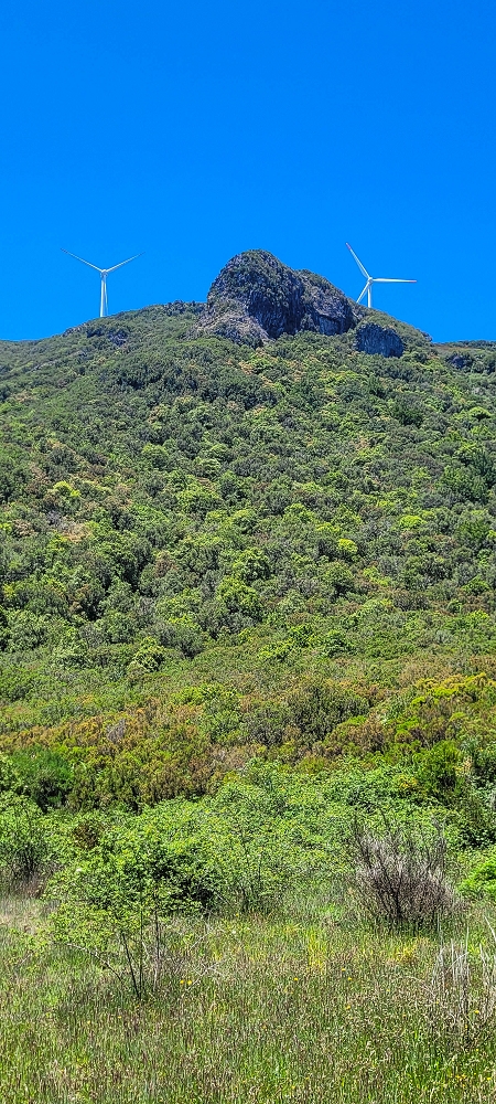 06.07.2022 Wunderschöne Abschlussrunde, möglicherweise meine letzte Madeirawanderung? — Lagoa do Caramujo — Foto 6