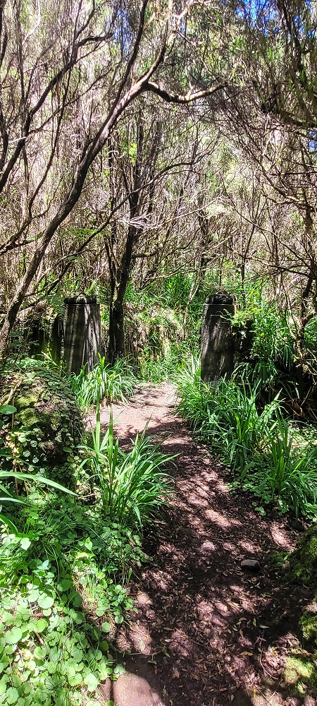 06.07.2022 Wunderschöne Abschlussrunde, möglicherweise meine letzte Madeirawanderung? — Casa do Caramujo — Foto 1