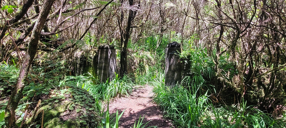 06.07.2022 Wunderschöne Abschlussrunde, möglicherweise meine letzte Madeirawanderung? — Casa do Caramujo — Foto 2