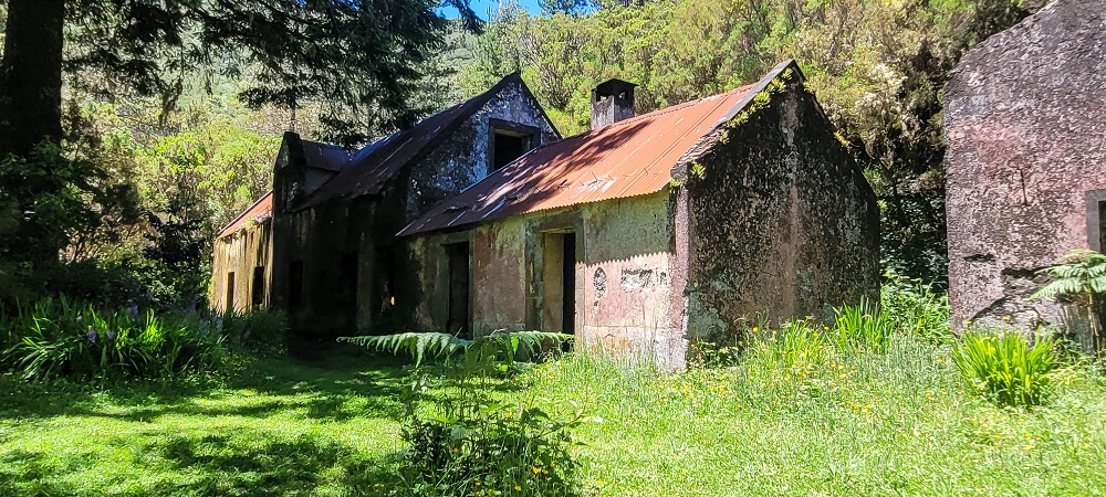 06.07.2022 Wunderschöne Abschlussrunde, möglicherweise meine letzte Madeirawanderung? — Casa do Caramujo — Foto 3